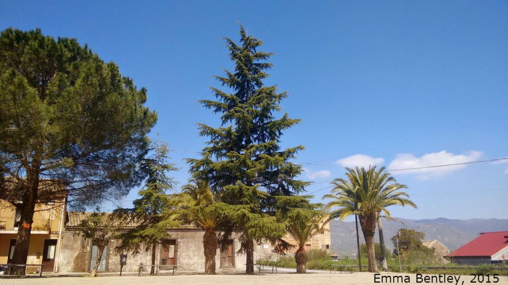 IMG_20150416_120934498a