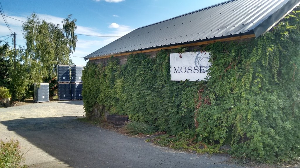 IMG_20150820_170137323_HDR