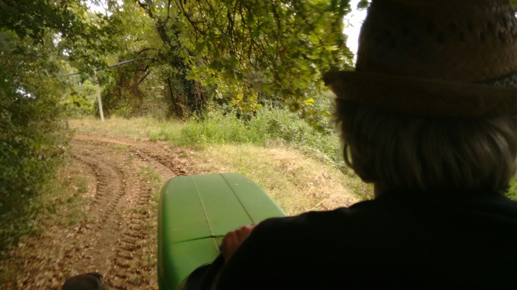 Back In The Vineyards (And Harvesting!) With: Filippo Filippi&nbsp;(Soave)