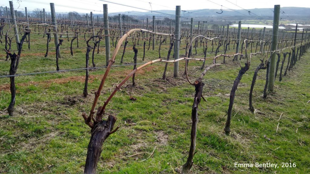 IMG_20160325_132003186_HDRa