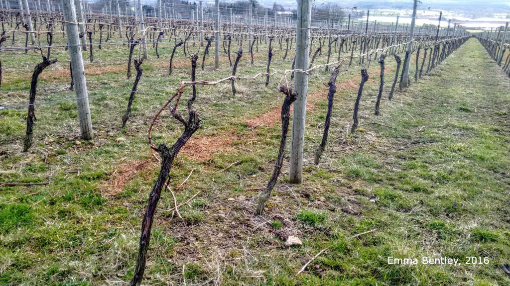 IMG_20160325_132136833a