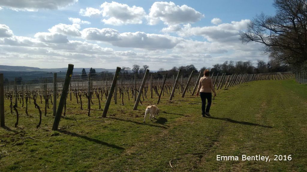 IMG_20160325_135734136a