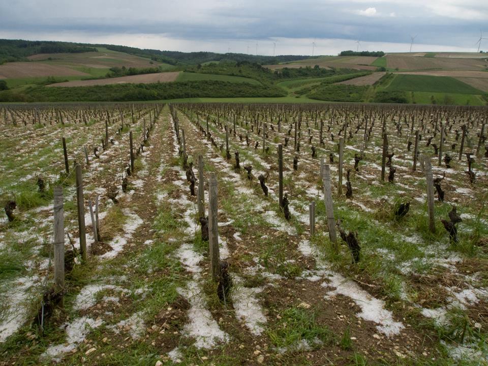 Photo Credit: Alice and Olivier de Moor