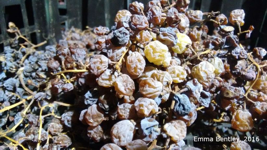 A Forgotten Wine: The Sweet Recioto di Soave&nbsp;DOCG