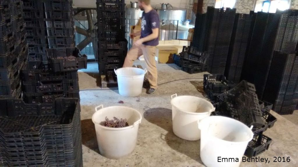 IMG_20160506_184815310a