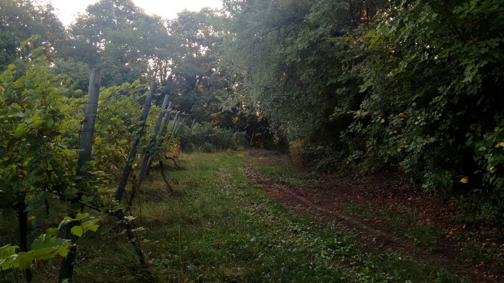 img_20160908_075146667