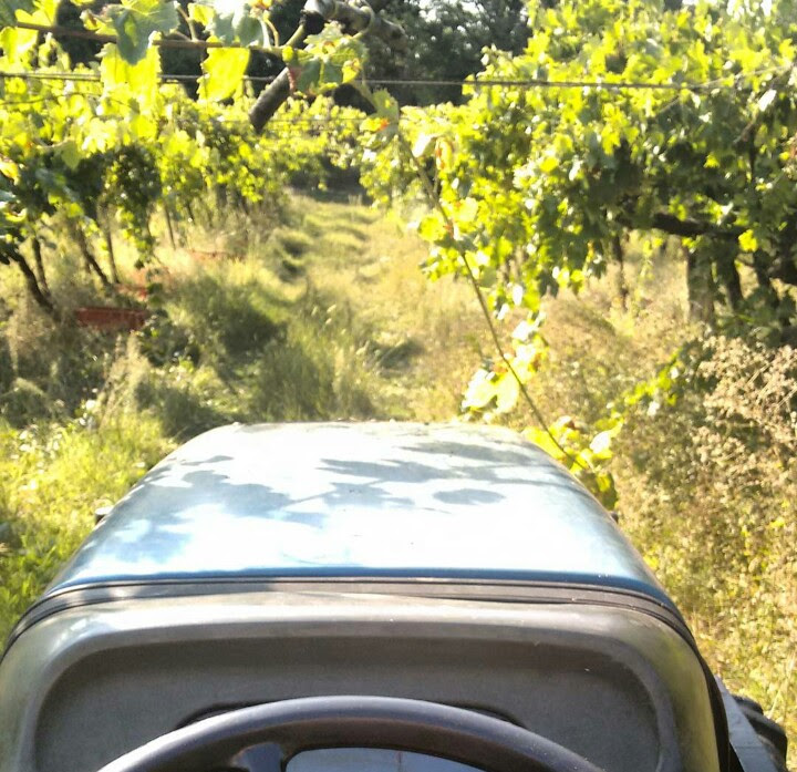 I’m Hanging In&nbsp;There!