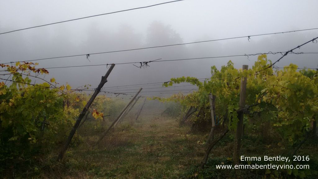 img_20161017_173010544a