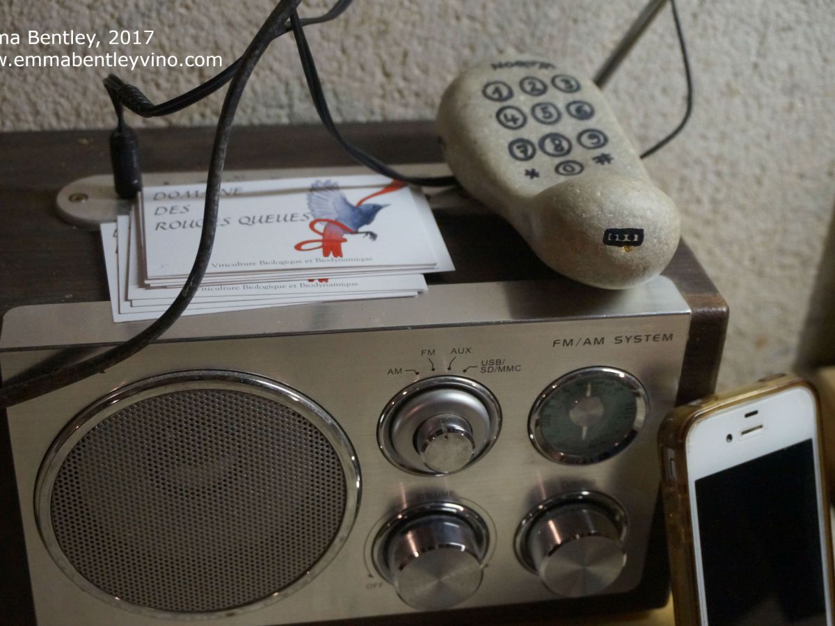 In The Vineyards With: Isabelle & Jean-Yves Vantey (Les Rouges Queues, Maranges,&nbsp;Burgundy)