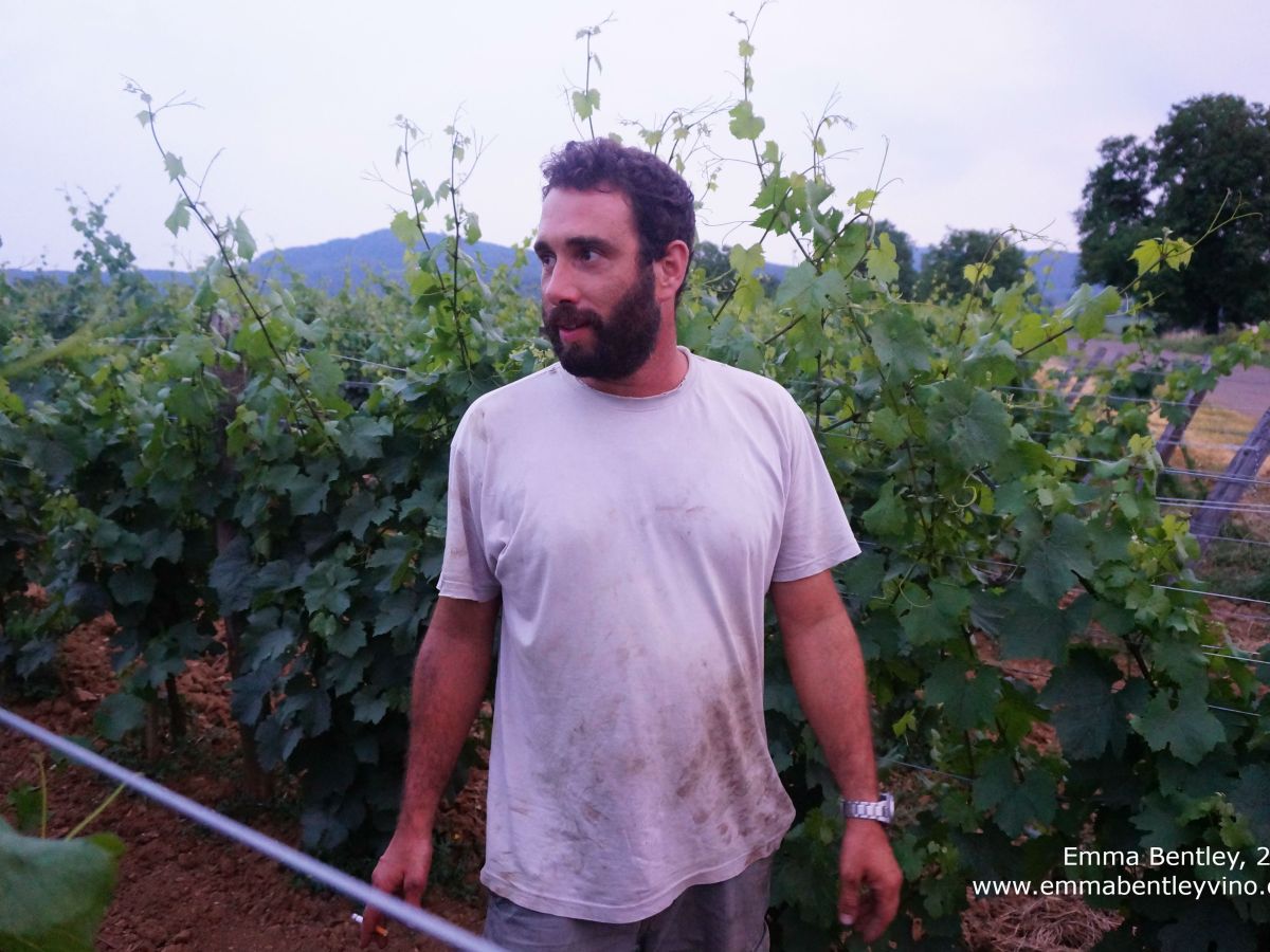 In The Vineyards With: Géraud Fromont (Domaine des Marnes Blanches,&nbsp;Jura)