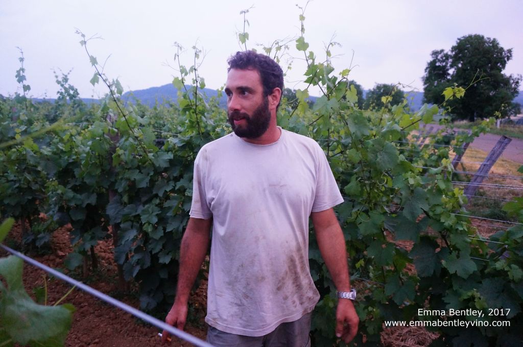 In The Vineyards With: Géraud Fromont (Domaine des Marnes Blanches,&nbsp;Jura)