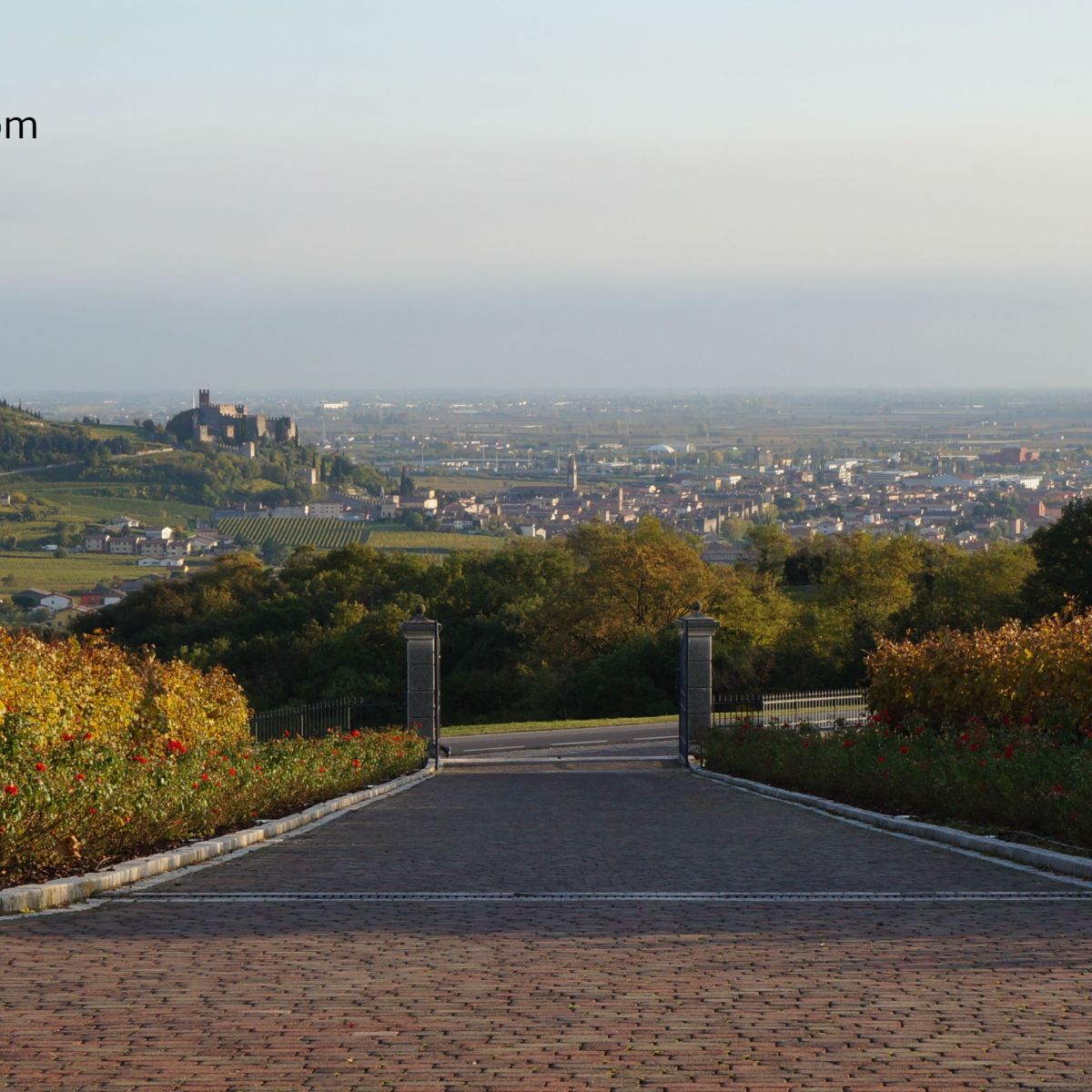In The Vineyards With: Laura Rizzoto (Balestri Valda,&nbsp;Soave)