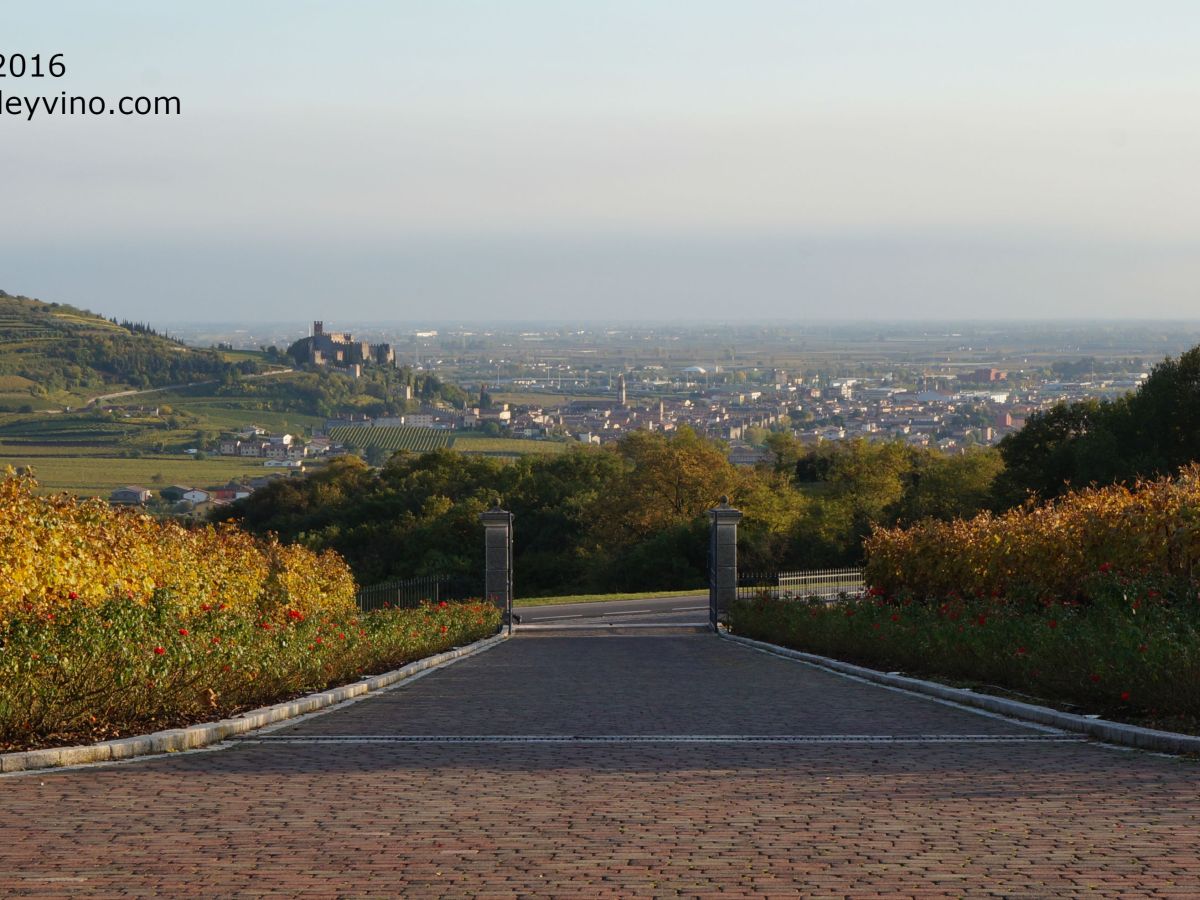 In The Vineyards With: Laura Rizzoto (Balestri Valda,&nbsp;Soave)