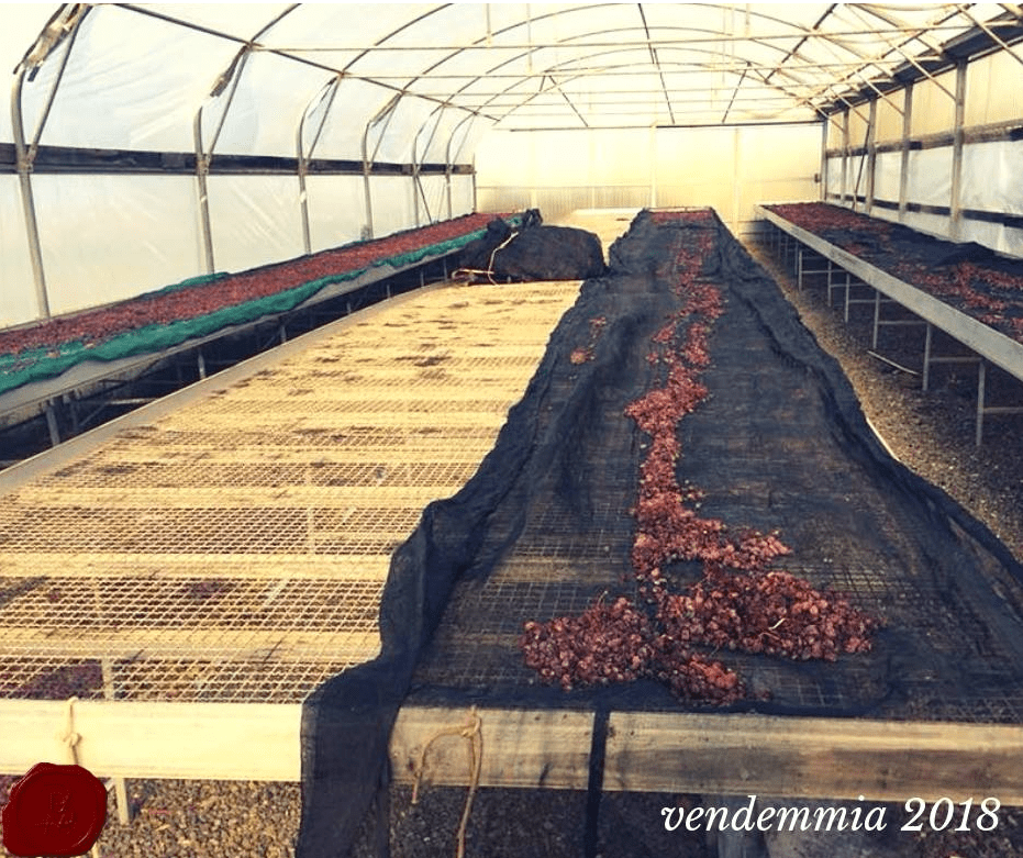 Shock, Horror and a Golden Lining for De&nbsp;Bartoli