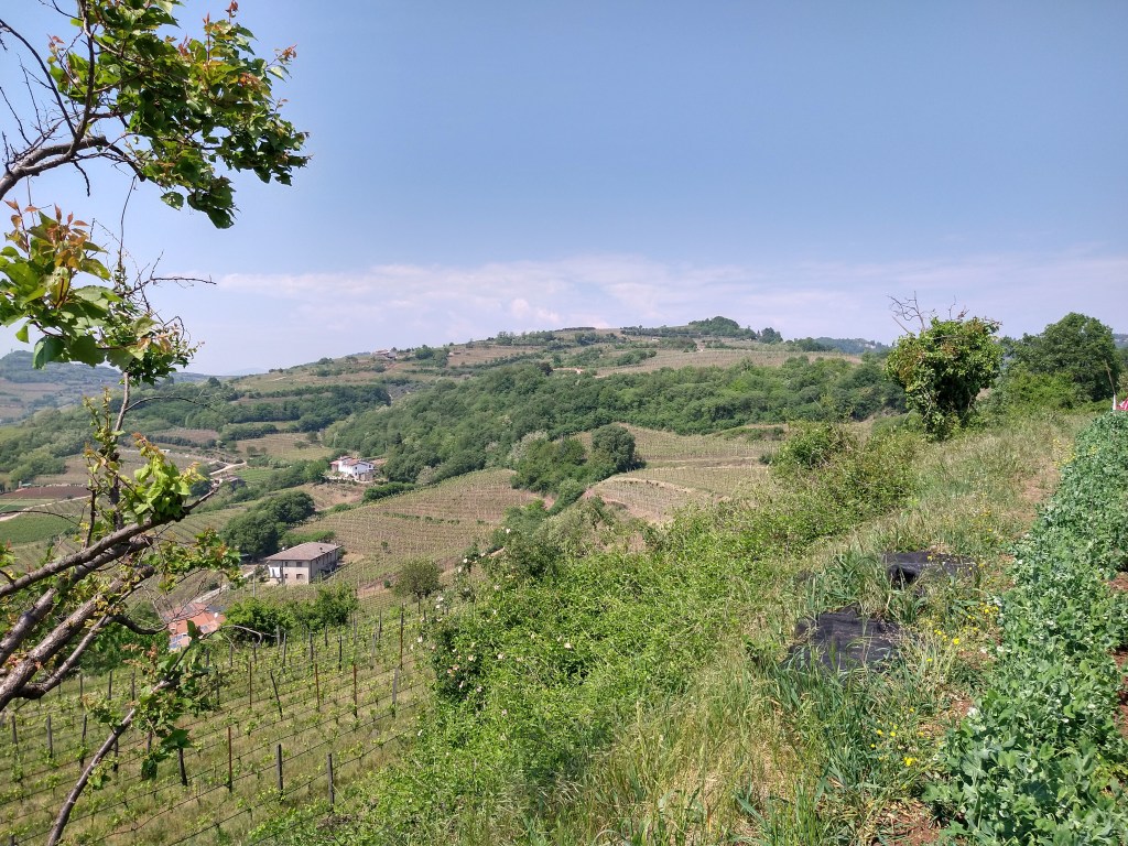 Liberation, Partisans and Romeo &&nbsp;Juliet