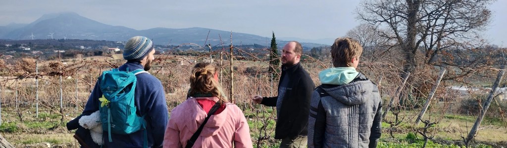 “In The Vineyards With”&nbsp;Series