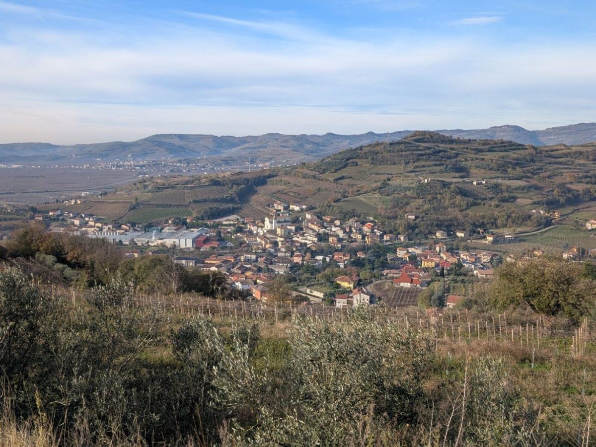 Gossip in Gambellara / Zonin in&nbsp;crisis